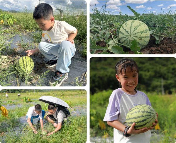 趣游盛夏，一路童行—2024年廣東博皓親子游   -12