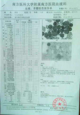 高俊的血液、骨髓檢查報(bào)告單